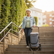 Treppensteiger-Einkaufstasche COMFORT, 50l, grau