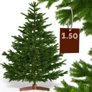 Künstlicher Weihnachtsbaum FROST, 150 cm, grün
