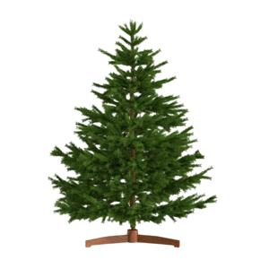 Künstlicher Weihnachtsbaum FROST, 150 cm, grün
