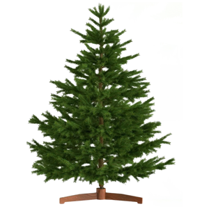 Künstlicher Weihnachtsbaum FROST, 180 cm, grün